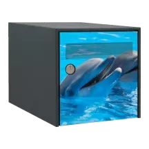 Sticker boîte aux lettres personnalisé Dauphin