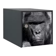 Sticker boîte aux lettres personnalisé Gorille