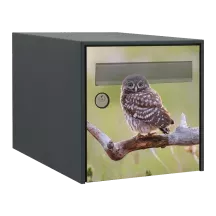 Sticker boîte aux lettres personnalisé Chouette 4