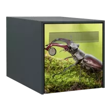 Sticker boîte aux lettres personnalisé Scarabées