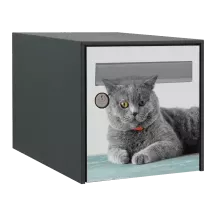 Sticker boîte aux lettres personnalisé British Shorthair 2
