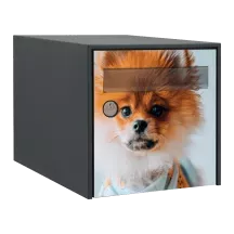 Sticker boîte aux lettres personnalisé Spitz Allemand