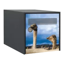 Sticker boîte aux lettres personnalisé Autruche 3