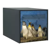 Sticker boîte aux lettres personnalisé Manchots