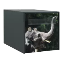 Sticker boîte aux lettres personnalisé Elephant rigolo