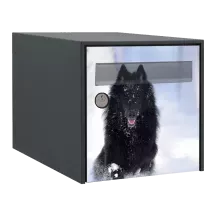 Sticker boîte aux lettres personnalisé Berger Belge