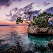 Affiche personnalisée îlot lac