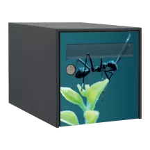 Sticker boîte aux lettres personnalisé Fourmis