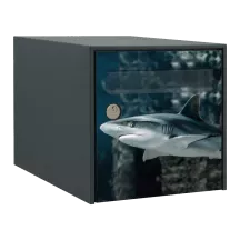 Sticker boîte aux lettres personnalisé Requin