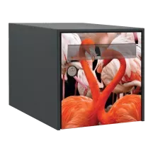 Sticker boîte aux lettres personnalisé Flamant rose 4