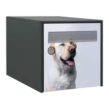 Sticker boîte aux lettres personnalisé Labrador 2