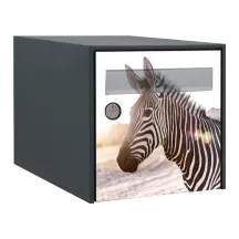 Sticker boîte aux lettres personnalisé Zèbre