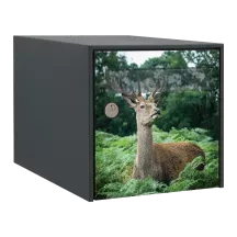 Sticker boîte aux lettres personnalisé Cerf 3