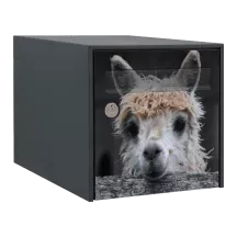 Sticker boîte aux lettres personnalisé Lama