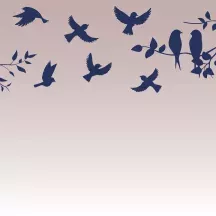 Affiche personnalisée Oiseaux 2