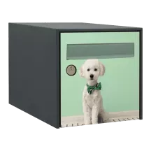 Sticker boîte aux lettres personnalisé Caniche