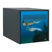 Sticker boîte aux lettres personnalisé Calamar