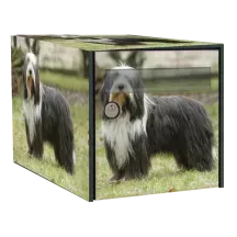 Sticker boîte aux lettres personnalisé Bearded Collie