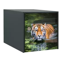 Sticker boîte aux lettres personnalisé Tigre