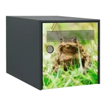 Sticker boîte aux lettres personnalisé Crapaud