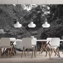 Papier Peint Panoramique Jungle Photo Noir et Blanc