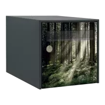 Sticker boîte aux lettres personnalisé Fôret