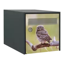 Sticker boîte aux lettres personnalisé Chouette 4