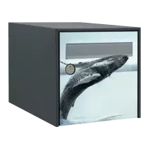 Sticker boîte aux lettres personnalisé Baleine 3