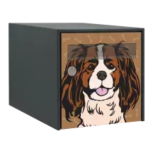 Sticker boîte aux lettres personnalisé Cavalier King-Charles 2