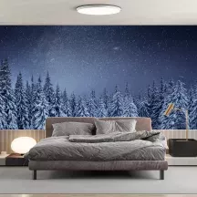 Papier Peint Panoramique Forêt Nuit Étoilée