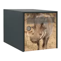 Sticker boîte aux lettres personnalisé Phacochère