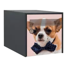 Sticker boîte aux lettres personnalisé Chihuahua