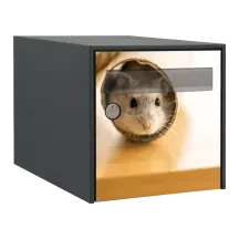 Sticker boîte aux lettres personnalisé Souris