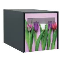Sticker boîte aux lettres personnalisé Tulipes