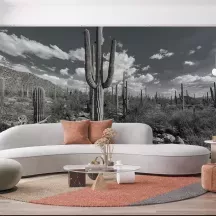 Papier Peint Panoramique Cactus Noir et Blanc 2