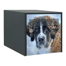 Sticker boîte aux lettres personnalisé Saint Bernard