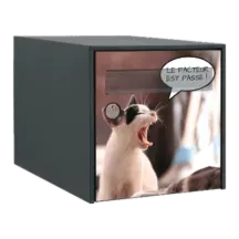 Sticker boîte aux lettres personnalisé Chat rigolo