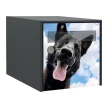 Sticker boîte aux lettres personnalisé Berger Allemand 2