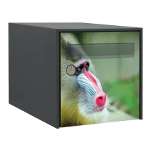 Sticker boîte aux lettres personnalisé Babouin