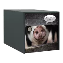 Sticker boîte aux lettres personnalisé Cochon rigolo 2