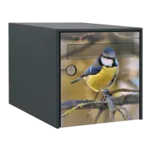 Sticker boîte aux lettres personnalisé Mésange