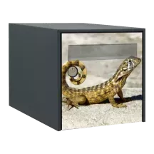 Sticker boîte aux lettres personnalisé Lézard