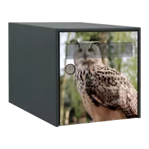 Sticker boîte aux lettres personnalisé Hiboux