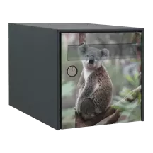Sticker boîte aux lettres personnalisé Koala