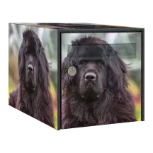 Sticker boîte aux lettres personnalisé Terre Neuve 3