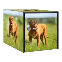 Sticker boîte aux lettres personnalisé Dogue de Bordeaux