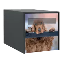 Sticker boîte aux lettres personnalisé Cocker