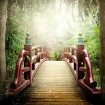 Affiche personnalisée Jardin Japonais