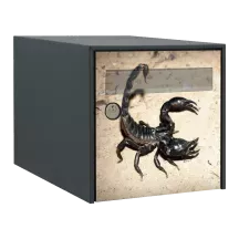 Sticker boîte aux lettres personnalisé Scorpion