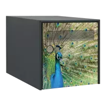 Sticker boîte aux lettres personnalisé Paon